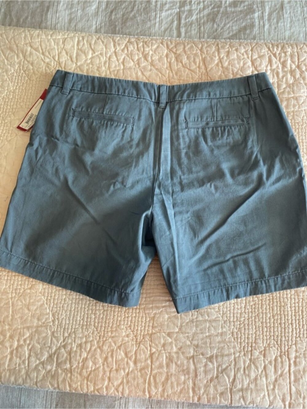Chino Shorts - Picture 2 of 2